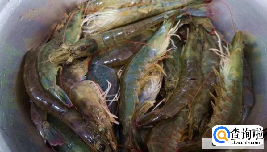 大虾怎么做好吃又简单