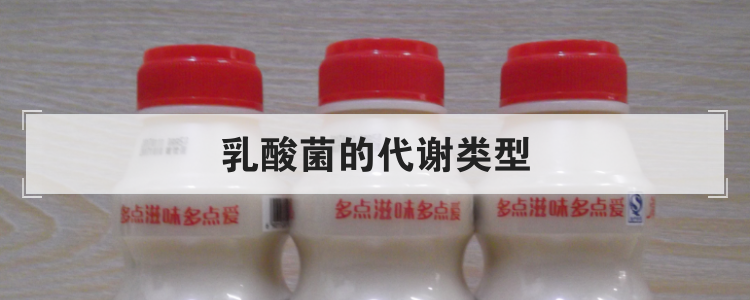 乳酸菌的代谢类型