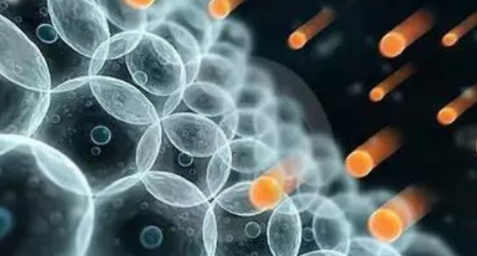 抗氧化是什么意思