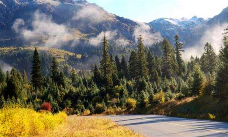 阿坝州是哪个省哪个区