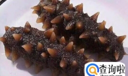 如何挑选海参，海参什么样的好