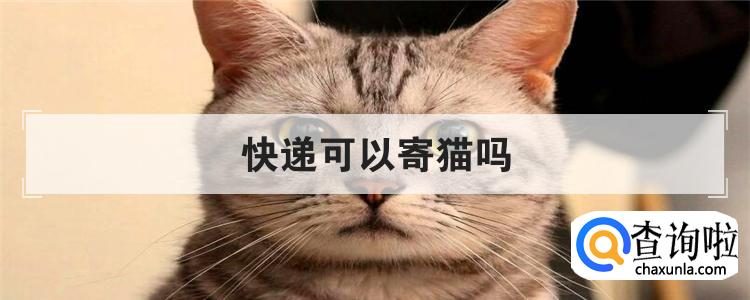 快递可以寄猫吗