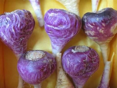 玛咖有补肾壮阳的功效吗