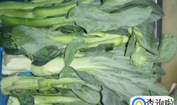 广东菜心怎样做才翠绿爽口？