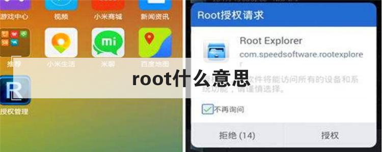 root什么意思