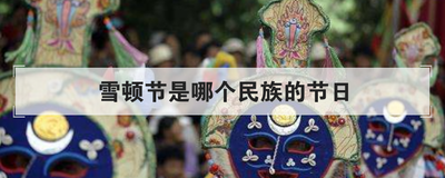 雪顿节是哪个民族的节日