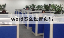 word怎么设置页码