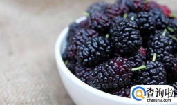 如何制作桑葚酒？