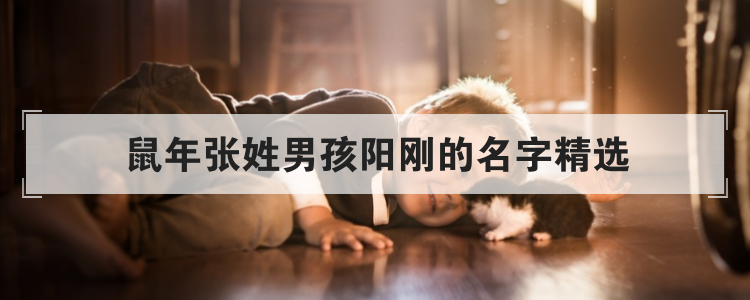 鼠年张姓男孩阳刚的名字精选