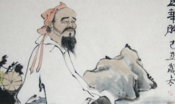 华佗的故事主要讲了什么