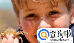 卢姓宝宝起名大全