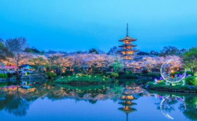 武汉樱花什么时候开