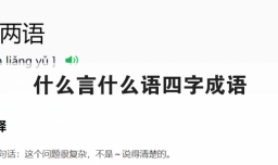 什么言什么语四字成语