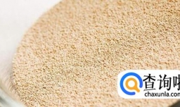 面包发不起来怎么办？（不得不知的烘焙常识）