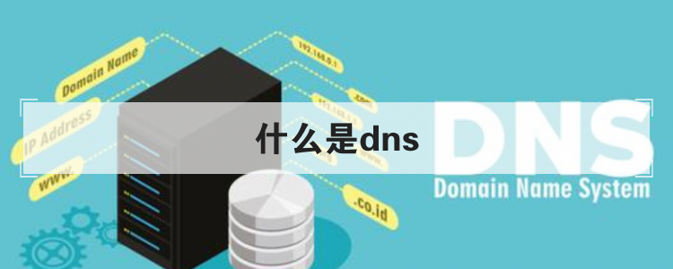 什么是dns