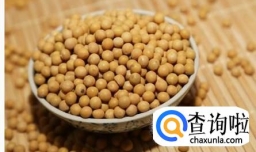 跟我一起自制石膏豆腐