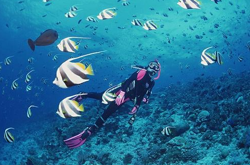 世界最深的海沟