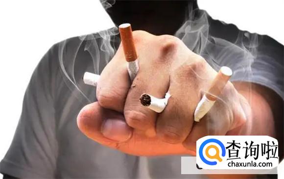 红薯的功效与作用