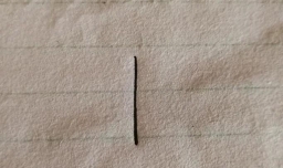 朱字的甲骨文怎么写