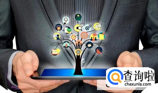 网络运营是什么意思