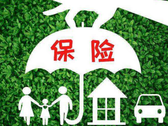 青年群体建议购买哪几种保险