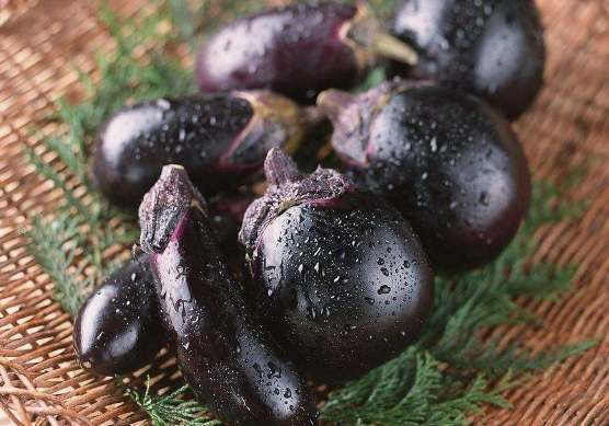 茄子的营养与功效与禁忌