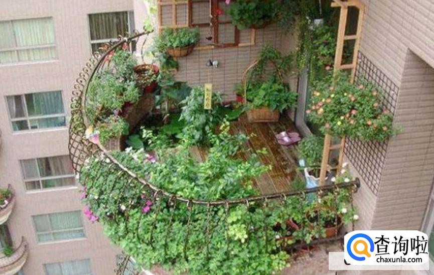 如何在小阳台种植盆栽