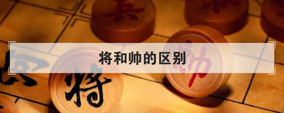 将和帅的区别