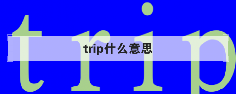 trip什么意思