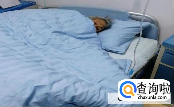 洗衣粉和消毒液能混着用吗