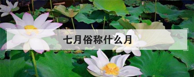 七月俗称什么月