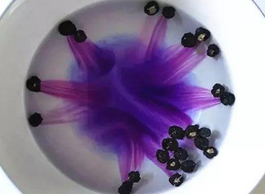 黑枸杞泡水的方法