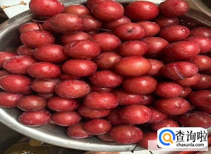 野李子怎样比较好吃