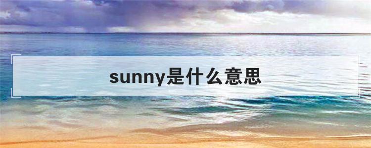 sunny是什么意思