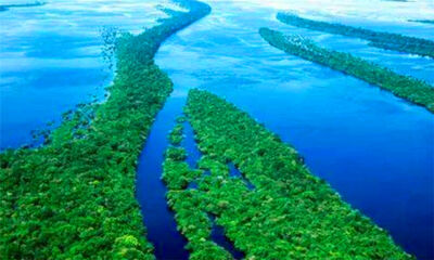 世界流域面积最大的河