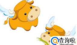 三肖三期必中特（三肖三码精准必开网站）