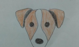 儿童简笔画小狗的头部造型怎么画