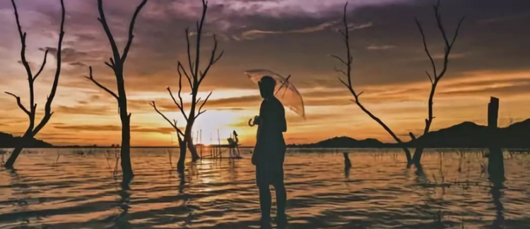 离异是什么意思