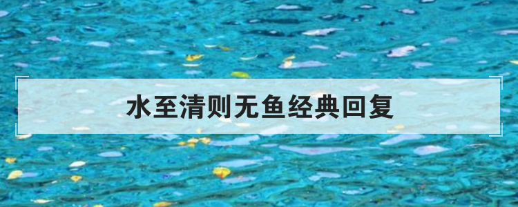 水至清则无鱼经典回复