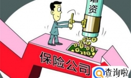 年内险企增资发债合计195亿元 资本补充困难怎样解决？