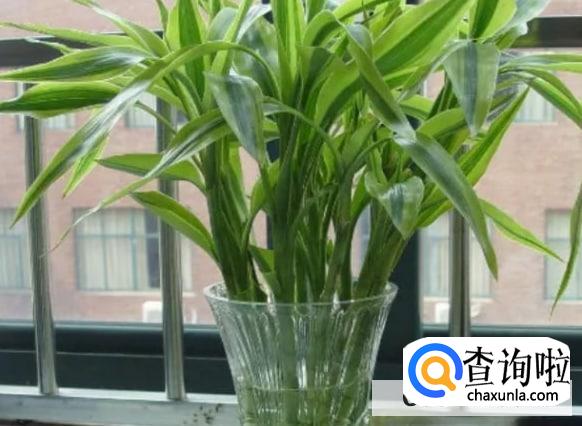 朋友搬家我要送礼物吗