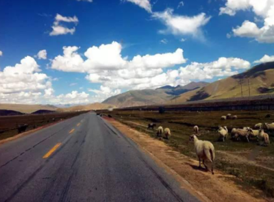 朝圣是什么意思