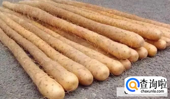 吃铁棍山药有哪些禁忌