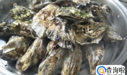 生蚝的做法需要蒸几分钟（5~10分钟）
