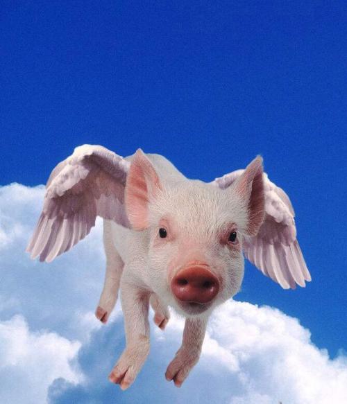 悬崖勒马是指什么生肖