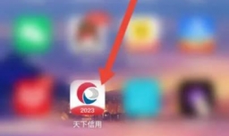 如何使用天下信用APP设置手势解锁密码?