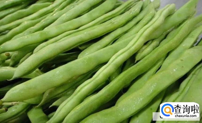 四季豆长期储存方法有哪些