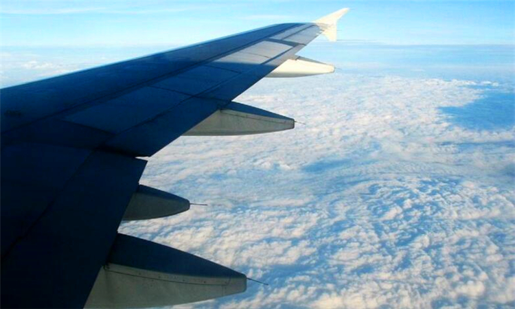 飞机牙膏可以带多少克