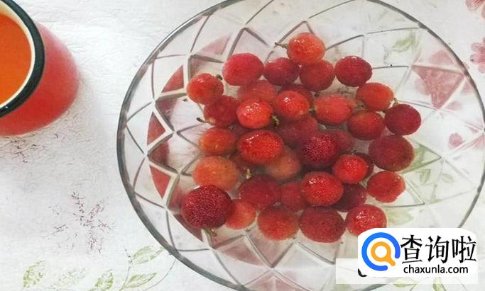 杨梅太酸了有什么吃法比较美味