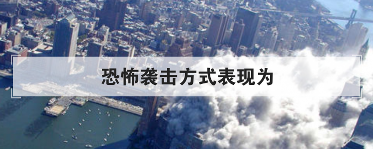 恐怖袭击方式表现为